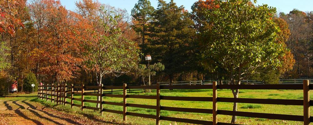 Dallas County property division attorney
